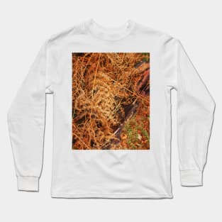 Autumn fern Long Sleeve T-Shirt